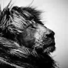 Brawl Stars Hesap Satışı