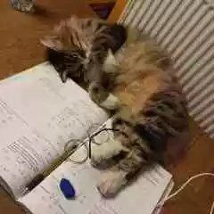 Gold Store profil fotoğrafı