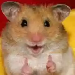 Emektar pubg hesabı