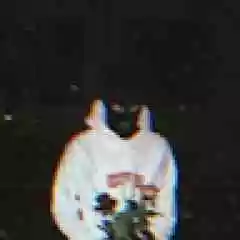 WEST SATIŞ profil fotoğrafı