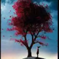 Onur araba satış profil fotoğrafı