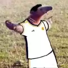 Axe profil fotoğrafı