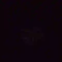 lil.wqq profil fotoğrafı