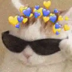 asiritrajedik profil fotoğrafı