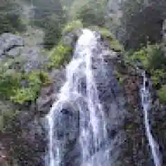 salihemre1071 profil fotoğrafı