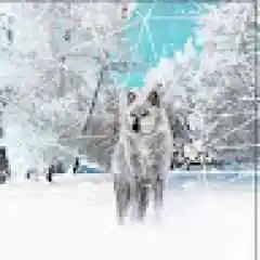 dalgalıdeniz profil fotoğrafı