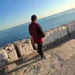 bozkayayigit567