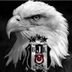 alishovsdi