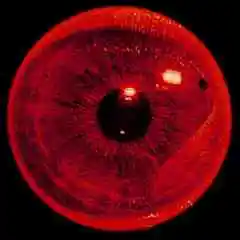 HenzagaStore profil fotoğrafı