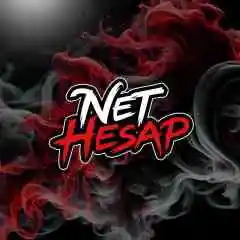 NetSatış