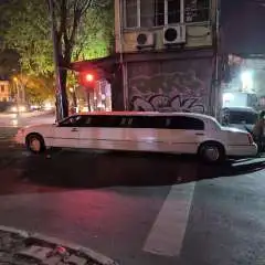 DLS