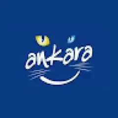 ykarakas40