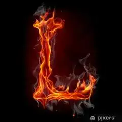 Lynx steam hesap