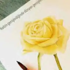 valohesap.com profil fotoğrafı