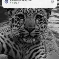 Pes hesap dırr profil fotoğrafı
