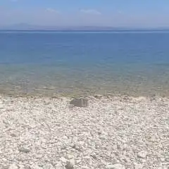 erdogandavut65