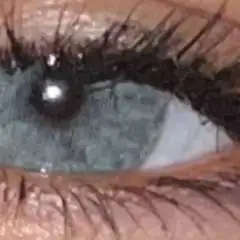 Mikola İrelia profil fotoğrafı