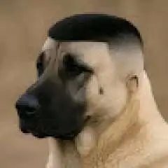 bilaldgnw profil fotoğrafı