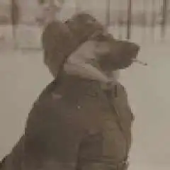 gnymgz