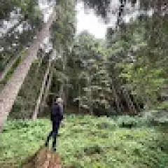 aktrkaan profil fotoğrafı