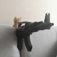 Obitocuk