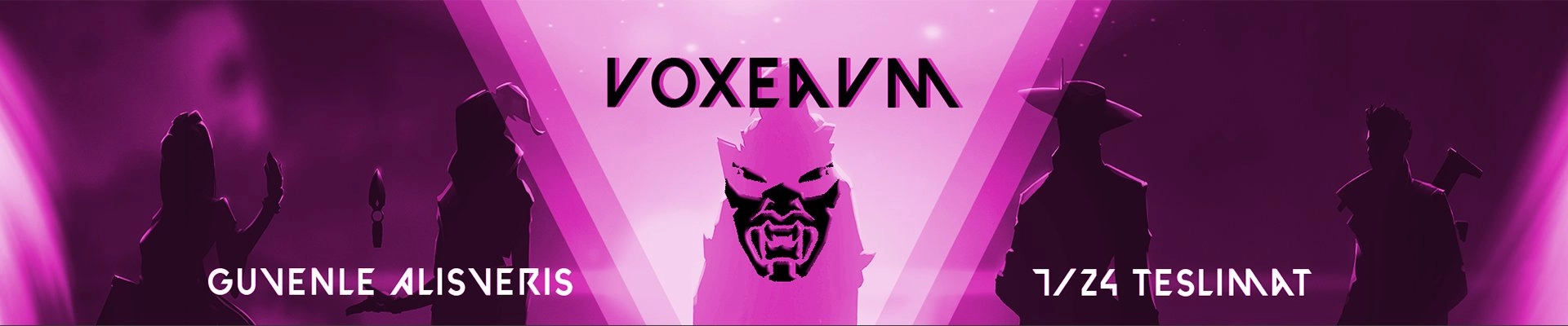 voxeavm kapak fotoğrafı