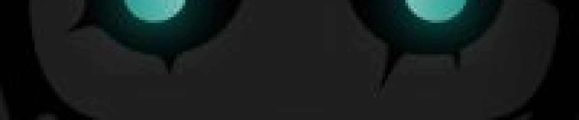 Flowzzy kapak fotoğrafı