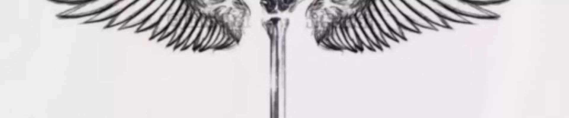 WİLDRİFT UNRANKED HESAP kapak fotoğrafı