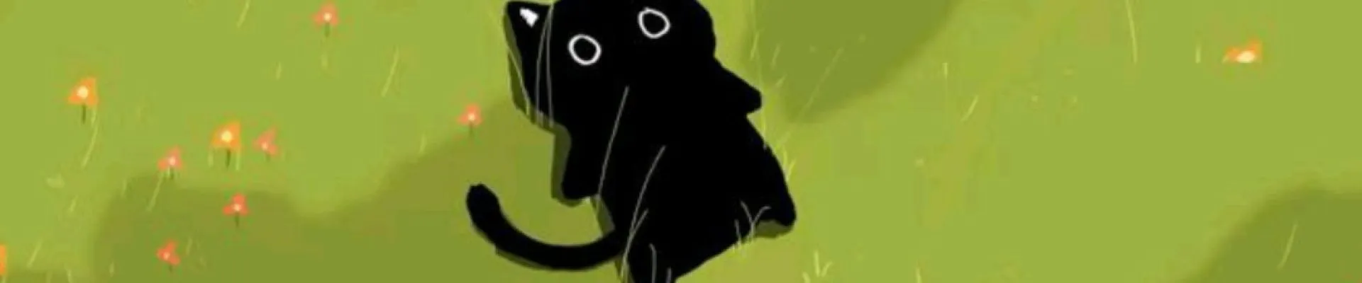 esrafalan kapak fotoğrafı