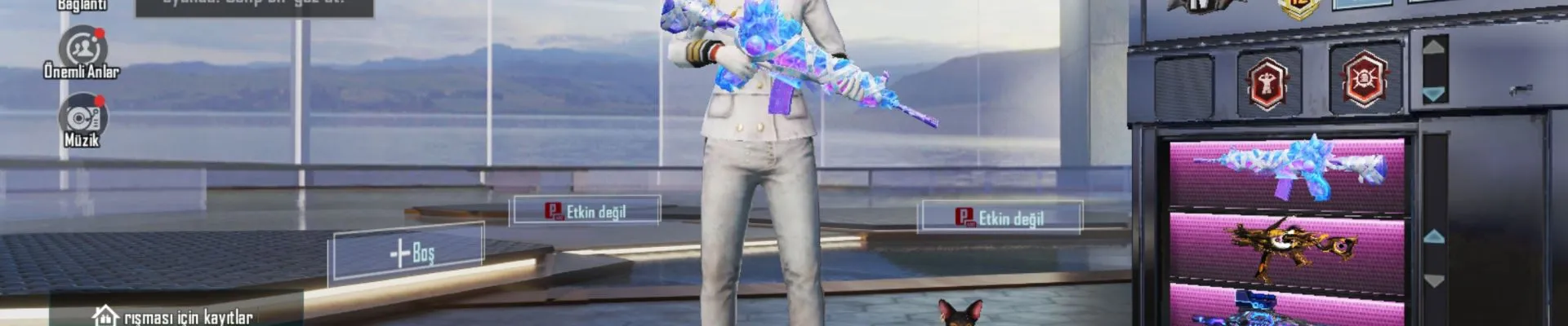 Zanee kapak fotoğrafı