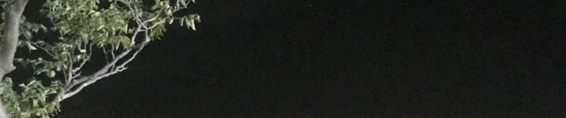 Miraç Elitok kapak fotoğrafı