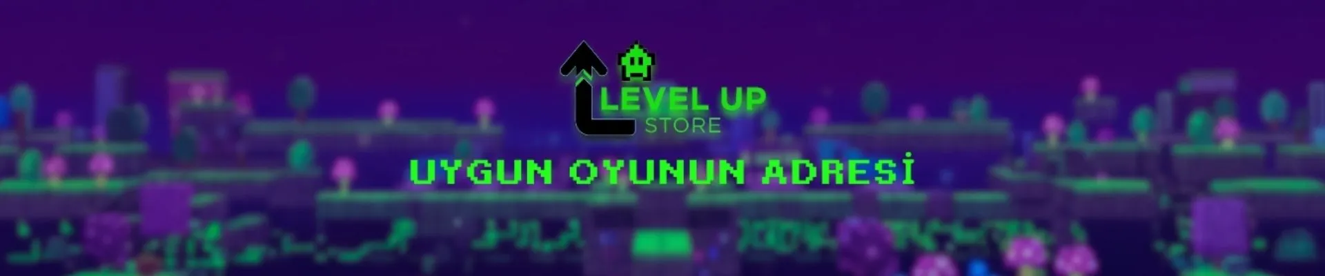 levelupstore01 kapak fotoğrafı