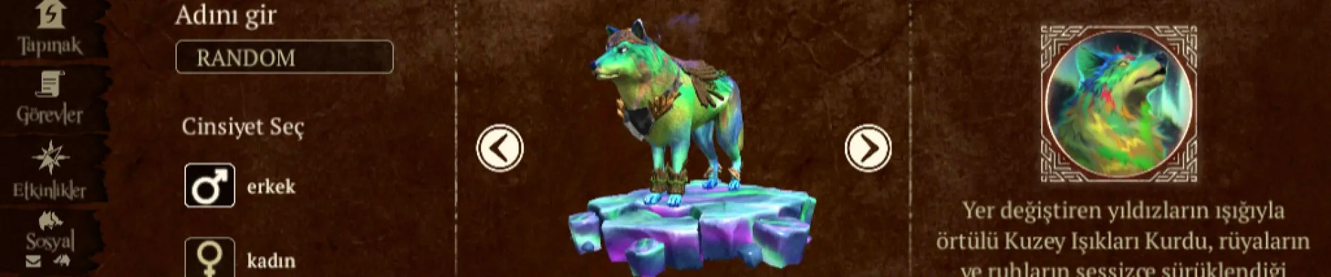 shop68894 kapak fotoğrafı