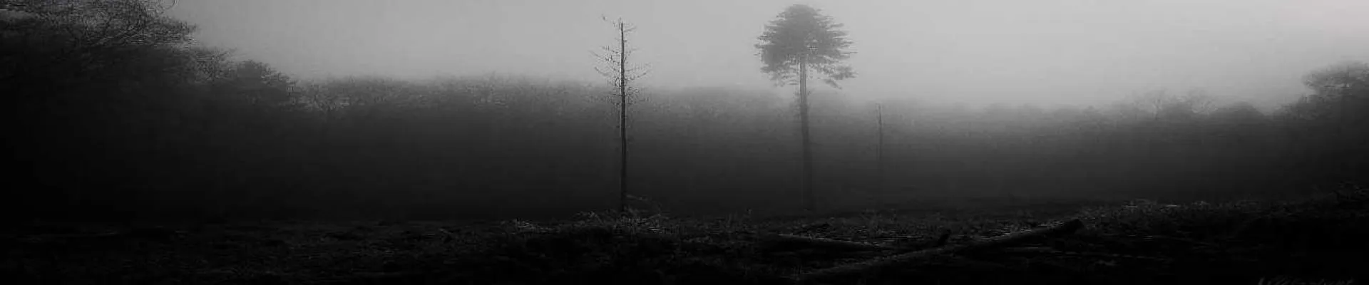 Asketa Shop kapak fotoğrafı